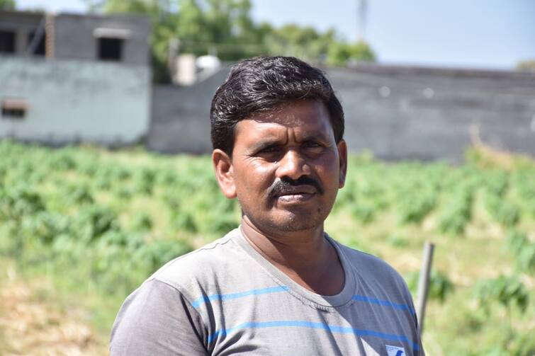 Farmer's Success Story: This farmer from Surendranagar's Chuda village earns a fortune from natural papaya farming Farmer’s Success Story: સુરેન્દ્રનગરના ચુડા ગામનો આ ખેડૂત પપૈયાની પ્રાકૃતિક ખેતીથી કરે છે તોતિંગ કમાણી