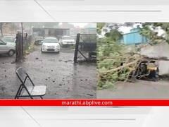 छ्त्रपती संभाजीनगर जिल्ह्यात पहिला तुफान पाऊस, जोरदार वारेही; रिक्षांवर झाडं उन्मळून पडले