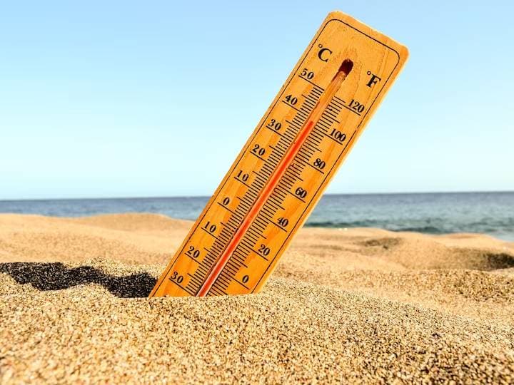 Heatwave से बचने के लिए 'हेल्थ मिनिस्ट्री' का गुरु मंत्र, फिलहाल के लिए चाय-कॉफी और शराब को कह दें अलविदा