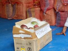 Worlds Most Expensive Mango: नैनो से भी महंगा है ये आम! सिलीगुड़ी मैंगो फेस्टिवल में पेश हुआ दुनिया का सबसे महंगा Miyazaki, देखिए तस्वीरें