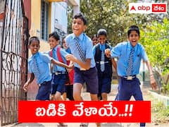 వేసవి సెలవులు పొడిగింపు ప్రచారం - విద్యాశాఖ ఏం చెప్పిందంటే?