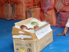 Worlds Most Expensive Mango: ਨੈਨੋ ਤੋਂ ਵੀ ਮਹਿੰਗਾ ਹੈ ਇਹ ਅੰਬ! ਸਿਲੀਗੁੜੀ ਮੈਂਗੋ ਫੈਸਟੀਵਲ 'ਚ ਪੇਸ਼ ਹੋਇਆ ਦੁਨੀਆ ਦਾ ਸਭ ਤੋਂ ਮਹਿੰਗਾ Miyazaki, ਵੇਖੋ ਤਸਵੀਰਾਂ