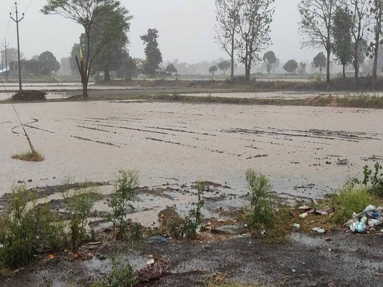 Rain with stormy winds in district including Nashik damage in many areas nashik Maharashtra Nashik Rain Update : नाशिक जिल्ह्यात मान्सून पूर्व पावसाचा तडाखा, कळवणला पोल्ट्री शेडचे पत्रे उडाले, लासलगाव परिसरात दमदार हजेरी