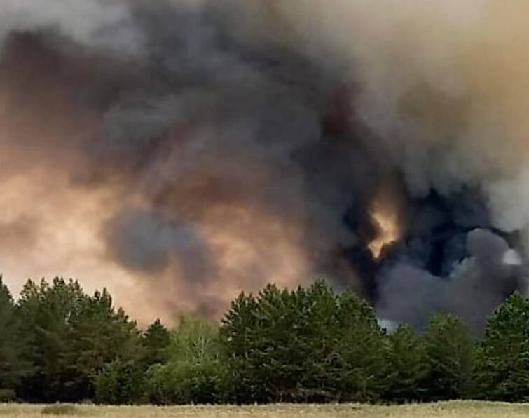 Kazakhstan Forests Fire many people lost their lives also Many animals have been harmed detail marathi news Kazakhstan Forests Fire : आगीचा भडका, धुराचं साम्राज्य; मध्य आशियातील सर्वात मोठ्या देशातील जंगल आगीच्या भक्ष्यस्थानी