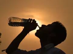 Weather : विदर्भात उष्णतेच्या लाटेचा इशारा