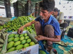 फल व्यापारियों पर भी पड़ी है बेमौसम बारिश की मार, जानें कौन कौन से फलों पर पड़ा है असर