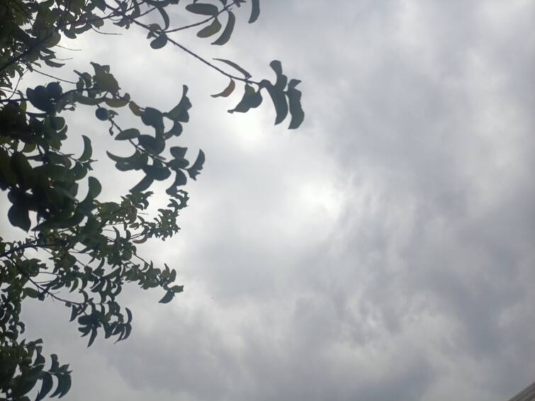 Weather Today 11 June relief from the heat Meteorological Department Suspects Heavy Rain in Chhattisgarh Ann Chhattisgarh Weather: छत्तीसगढ़ के लोगों को मिलेगी अब गर्मी से राहत, मौसम विभाग ने दी यह खुशखबरी