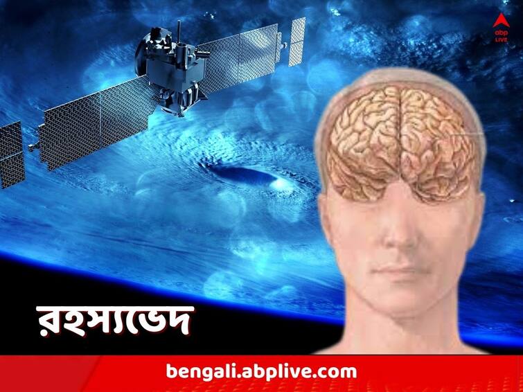 Long space missions take toll on astronauts and their brain cavities get expanded reveals new study Science News: মাধ্যাকর্ষণ শক্তির বাইরে, মহাকাশযাত্রায় ক্ষয় ধরে মস্তিষ্কে, জানা গেল নভোচারীদের ব্রেন স্ক্যান করে