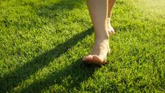 Walking Barefoot : अनवाणी पायाने चालण्याचे फायदे