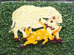 Ashadhi wari 2023 : पालखीसाठी ज्ञानेश्वर महाराजांचं मंदिर अन् गाभारा नटला, रंगीबेरंगी फुलांची आरास