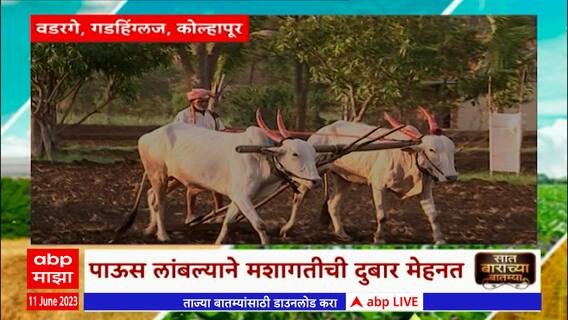7/12 Kolhapur farmer : पाऊस लांबल्याने मशागतीची दुबार मेहनत,  कोरडवाहू शेतकऱ्याची पावसावर मदार