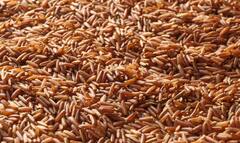 Health Tips: आहारात समाविष्ट करा लाल तांदूळ; आरोग्याशी संबंधित 'या' समस्या होतील दूर, पाहा...