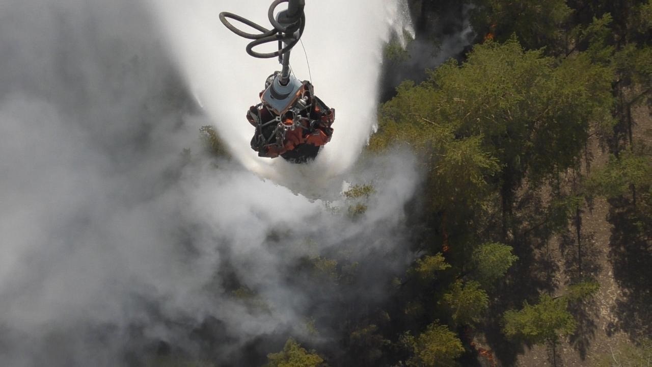 Forest Fires: आग से जल रहे सबसे बड़े मध्य एशियाई देश के जंगल, 60 हजार हेक्टेयर इलाका तबाह