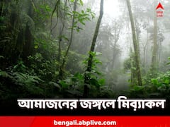 ৪০ দিন আটকে আমাজনের জঙ্গলে! বেঁচে ফিরল ৪ শিশু