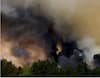 Forest Fires: ਅੱਗ ਨਾਲ ਸੜ ਰਹੇ ਨੇ ਮੱਧ ਏਸ਼ੀਆ ਦੇ ਸਭ ਤੋਂ ਵੱਡੇ ਦੇਸ਼ ਦੇ ਜੰਗਲ, 60 ਹਜ਼ਾਰ ਹੈਕਟੇਅਰ ਰਕਬਾ ਸੜਿਆ