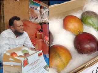 World's Most Expensive Mango Steals The Spotlight At Siliguri Festival, Priced At Rs 2.75 Lakh per Kg
