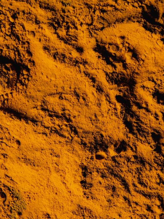 इन लोंगो को हल्दी खाने से हो सकता है नुकसान