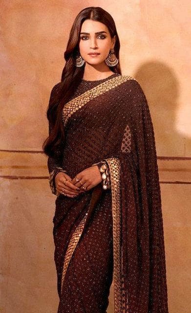 ਬ੍ਰਾਊਨ ਸਾੜ੍ਹੀ 'ਚ ਕ੍ਰਿਤੀ ਸੈਨਨ ਨੇ ਦਿਖਾਇਆ ਬੋਲਡ ਤੇ ਕਾਤਲਾਨਾ ਅੰਦਾਜ