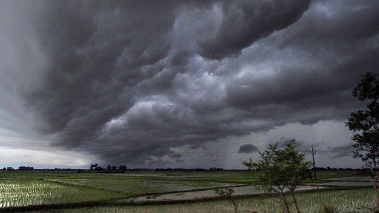 Maharashtra Rain News Yellow Alert today in West Maharashtra and Vidarbha along with Konkan Maharashtra Rain : मुंबईसह उपनगरात पावसाची हजेरी, आज कोकणसह पश्चिम महाराष्ट्र आणि विदर्भात यलो अलर्ट 