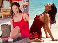 सलमान खान के बाद अब इस स्टार संग नजर आएंगी Shehnaaz Gill, बिग बॉस फेम एक्ट्रेस की झोली में गिरी नई फिल्म!