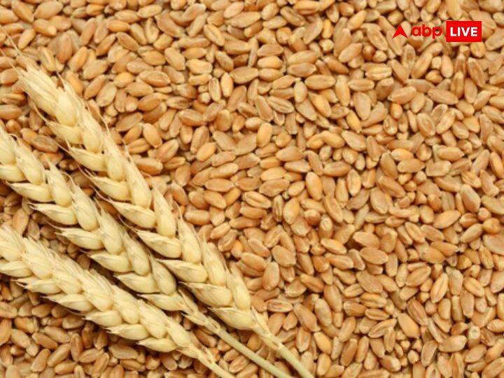 Wheat Price Hike: महंगे गेहूं - आटे का असर, 15 वर्ष में पहली बार सरकार तय की गेहूं के स्टॉक रखने की लिमिट Wheat Price Hike Govt Imposed Stock Limit Till 31st March 2023 To Sell Wheat Under OMSS Scheme To Curb Prices Wheat Price Hike: महंगे गेहूं - आटे का असर, 15 वर्ष में पहली बार सरकार तय की गेहूं के स्टॉक रखने की लिमिट
