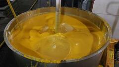 Shirdi : शिर्डी साईभक्तांना प्रसादलयात आमरसाची मेजवानी, साईभक्ताने दिले 2500 किलो केसर आंब्याचे दान