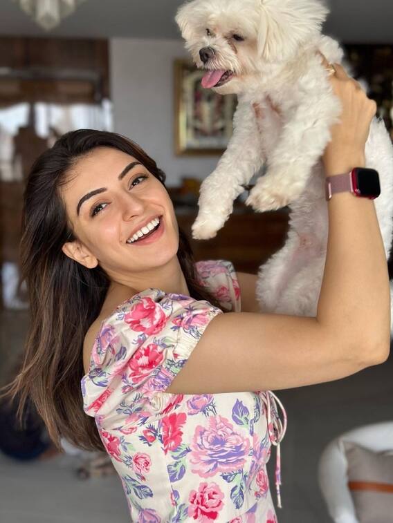 செல்லப்பிராணியை கொஞ்சும் ஹன்சிகாவின் க்யூட் க்ளிக்ஸ்!