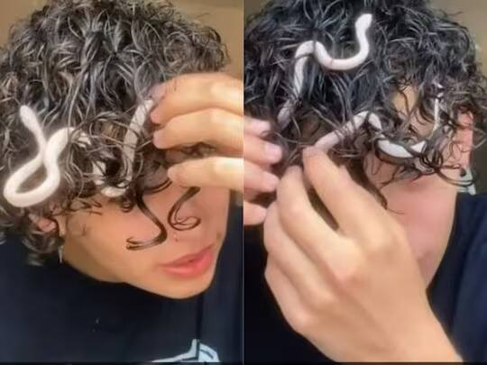 Viral Video: ਘੁੰਗਰਾਲੇ ਵਾਲਾਂ 'ਚ ਲੁਕਿਆ ਸੱਪ, ਨੌਜਵਾਨ ਨੇ ਸਿਰ ਨੂੰ ਛੂਹਿਆ ਤੇ...., ਵੀਡੀਓ ਦੇਖ ਕੇ ਕੰਬ ਜਾਏਗੀ ਰੂਹ poisonous snake stuck in curly hair what happened next see viral video Viral Video: ਘੁੰਗਰਾਲੇ ਵਾਲਾਂ 'ਚ ਲੁਕਿਆ ਸੱਪ, ਨੌਜਵਾਨ ਨੇ ਸਿਰ ਨੂੰ ਛੂਹਿਆ ਤੇ...., ਵੀਡੀਓ ਦੇਖ ਕੇ ਕੰਬ ਜਾਏਗੀ ਰੂਹ