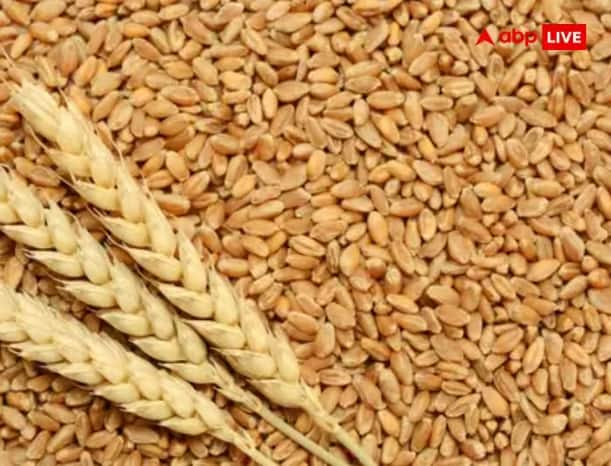 Effect of costlier wheat flour for the first time in 15 years the government fixed the limit for keeping wheat stock Wheat Price Hike: ਮਹਿੰਗੀ ਕਣਕ-ਆਟੇ ਦੀਆਂ ਵਧਦੀਆਂ ਕੀਮਤਾਂ ਨੂੰ ਨੱਥ ਪਾਉਣ ਲਈ, ਸਰਕਾਰ ਨੇ15 ਸਾਲਾਂ ਚ ਪਹਿਲੀ ਵਾਰ ਤੈਅ ਕੀਤੀ ਕਣਕ ਦਾ ਸਟਾਕ ਰੱਖਣ ਦੀ Limit