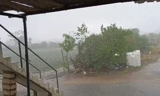 Heavy rains in Amreli district Amreli Rain: વાવાઝોડાને લઈ અમરેલી શહેર સહીત આસપાસના ગ્રામ્ય વિસ્તારોમાં ધોધમાર વરસાદ