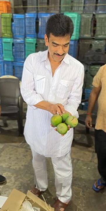 कोकणातील हापूस आंबा कमी प्रमाणात मार्केटला आल्याने दरही तेजीत होते.