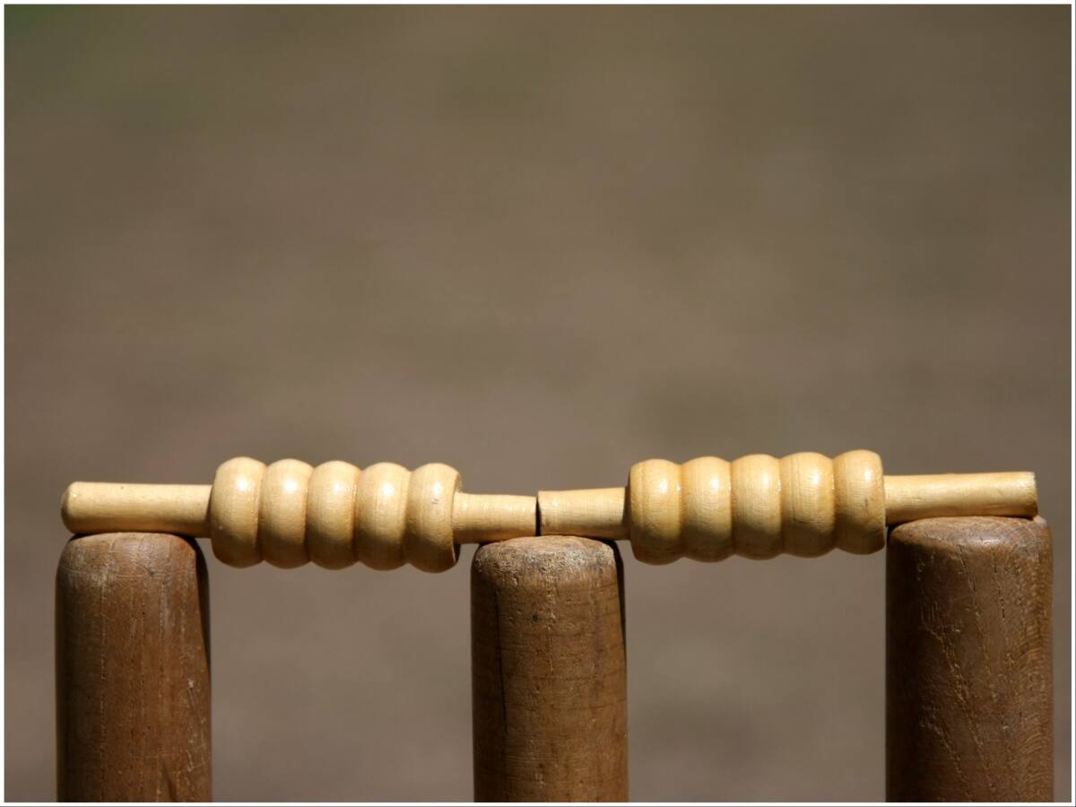 'Khela Hobe' — Amid Violence, Stumps Fly Off The Shelves In Murshidabad Ahead Of Bengal Panchayat Polls: Report