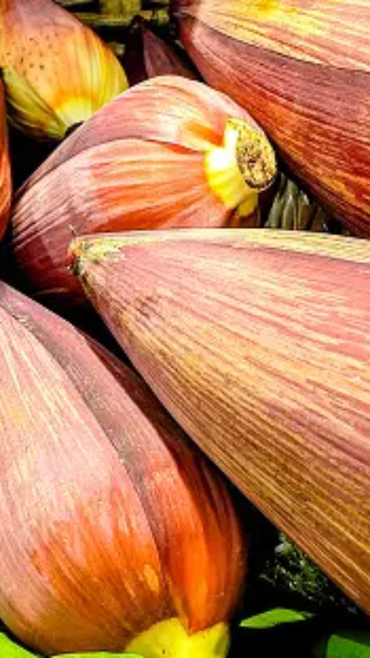 சர்க்கரை பொருளைக் கரைத்து வெளியேற்ற  உதவலாம்