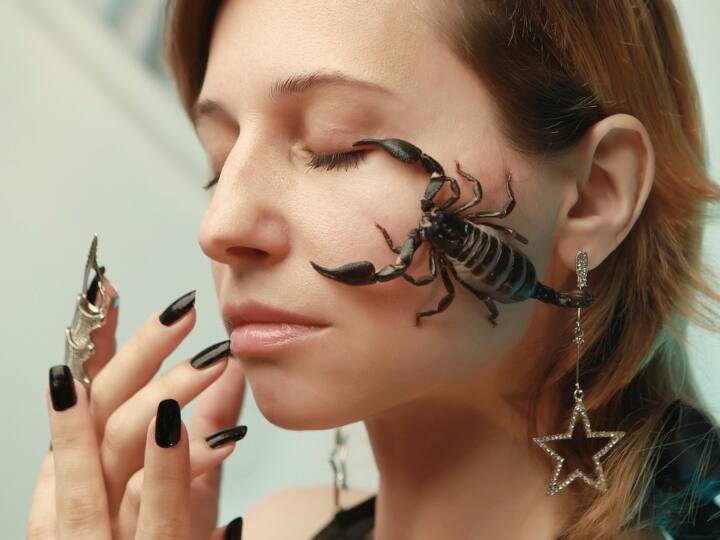 Scorpion Facts know interesting details and Habbits read Here Shocking details बिच्छू मेटिंग से पहले करते हैं ये हरकत, आप भी ये जान हंसने लगेंगे!