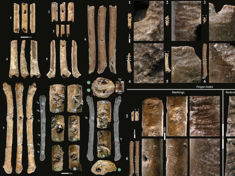 First Prehistoric Flutes East Bird Bones 12000 Years First Prehistoric Flutes Identified From The Near East Were Made Of Bird Bones, Date Back To Over 12,000 Years: Study