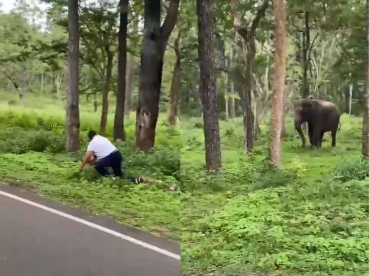 Angry Elephant Chased Man Roaming In His Area Video Viral गलती से हाथी के इलाके में जा पहुंचा शख्स, गुस्साए गजराज ने दौड़ाया, Video देखने वालों के छूट गए पसीने