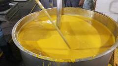 Shirdi : शिर्डी साईभक्तांना प्रसादलयात आमरसाची मेजवानी, साईभक्ताने दिले 2500 किलो केसर आंब्याचे दान