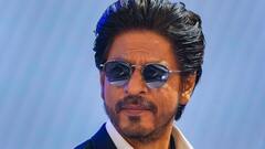 মুগ্ধ হয়ে 'ঝুমে জো পাঠান' দেখছে পোষা বেড়াল! অনুরাগীর ভিডিও দেখে শাহরুখ বললেন...