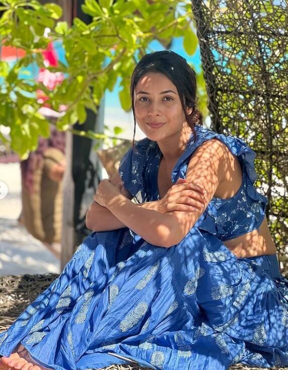 बिग बॉस 13 से फेम पाने के बाद शहनाज गिल सुपरस्टार सलमान खान की फिल्म किसी का भाई किसी की जान में नजर आईं, अब खबर है कि शहनाज की झोली में एक और बड़ी फिल्म आई है.