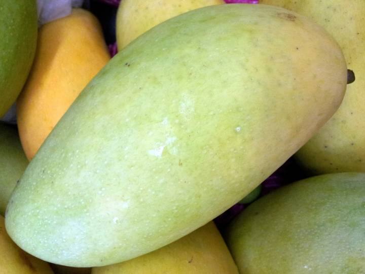Eating more mangoes in the hot summer can cause intestinal disturbances…swelling in the stomach
