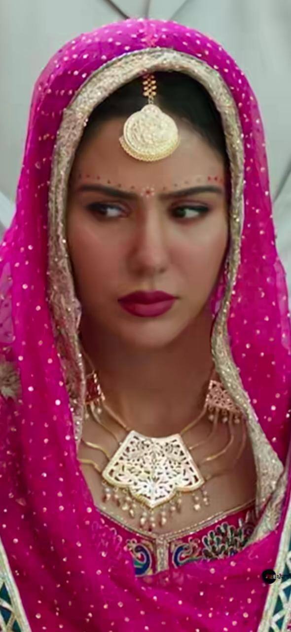 ਇਸ ਦੇ ਨਾਲ ਨਾਲ ਪੰਜਾਬ ਤੇ ਹਰਿਆਣਾ 'ਚ ਫਿਲਮ ਦੇ ਸ਼ੋਅਜ਼ ਹਾਲੇ ਵੀ ਹਾਊਸਫੁੱਲ ਚੱਲ ਰਹੇ ਹਨ। ਤੀਜੇ ਹਫਤੇ ਦੇ ਹਿਸਾਬ ਨਾਲ ਇਹ ਬਹੁਤ ਵੱਡੀ ਕਾਮਯਾਬੀ ਹੈ।