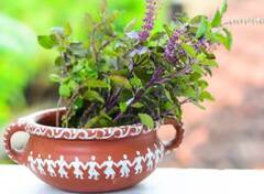 Yogini Ekadashi 2023: ਯੋਗਿਨੀ ਇਕਾਦਸ਼ੀ 'ਤੇ ਤੁਲਸੀ ਨੂੰ ਚੜ੍ਹਾਓ ਇਹ ਖਾਸ ਚੀਜ਼, ਮਾਂ ਲਕਸ਼ਮੀ ਦੀ ਕਿਰਪਾ ਨਾਲ ਆਮਦਨ ‘ਚ ਹੋਵੇਗਾ ਵਾਧਾ