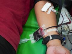 World Blood Donor Day 2023: All That You Need To Know About Blood Donation