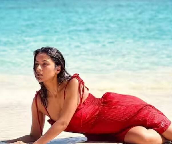 ਜਦੋਂ ਤੋਂ ਸਲਮਾਨ ਖਾਨ ਦੀ ਫਿਲਮ ਨਾਲ ਆਪਣੀ ਸ਼ੁਰੂਆਤ ਕੀਤੀ ਹੈ, ਪ੍ਰਸ਼ੰਸਕਾਂ ਨੂੰ ਸ਼ਹਿਨਾਜ਼ ਦਾ ਇੱਕ ਵੱਖਰਾ ਅਵਤਾਰ ਦੇਖਣ ਨੂੰ ਮਿਲ ਰਿਹਾ ਹੈ।