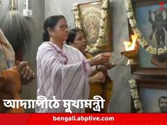 মায়ের আরাধনায় মমতা, নিজেহাতে করলেন আরতিও, আদ্যাপীঠে মুখ্যমন্ত্রী