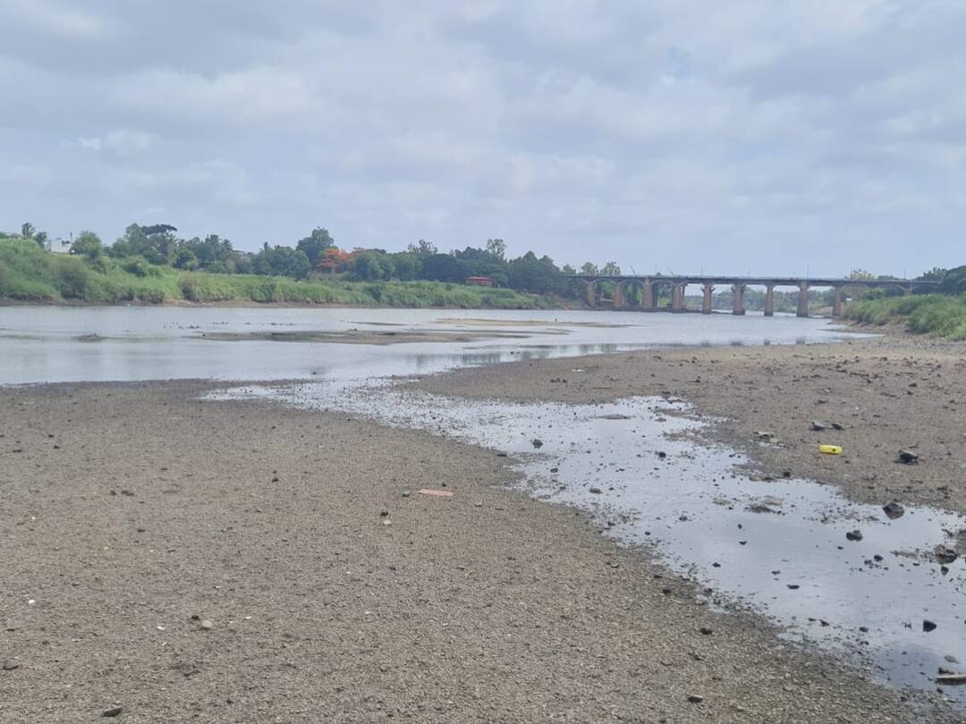 Sangli News: सांगली जिल्ह्यात कृष्णा नदीतून शेतीसाठी खासगी उपसा करणाऱ्या सर्व योजनांवर उपसाबंदी आदेश Prohibition order on all private water schemes from Krishna river for agriculture in Sangli district Sangli News: सांगली जिल्ह्यात कृष्णा नदीतून शेतीसाठी खासगी उपसा करणाऱ्या सर्व योजनांवर उपसाबंदी आदेश