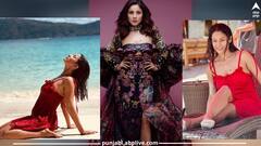 ਸਲਮਾਨ ਖਾਨ ਤੋਂ ਬਾਅਦ ਹੁਣ ਇਸ ਸਟਾਰ ਨਾਲ ਨਜ਼ਰ ਆਵੇਗੀ ਸ਼ਹਿਨਾਜ਼ ਗਿੱਲ, ਬਿੱਗ ਬੌਸ ਫੇਮ ਅਦਾਕਾਰਾ ਦੀ ਝੋਲੀ 'ਚ ਆਈ ਨਵੀਂ ਫਿਲਮ!