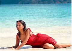 Photos : સલમાન બાદ હવે આ સ્ટાર સાથે નજરે પડશે શેહનાઝ ગિલ