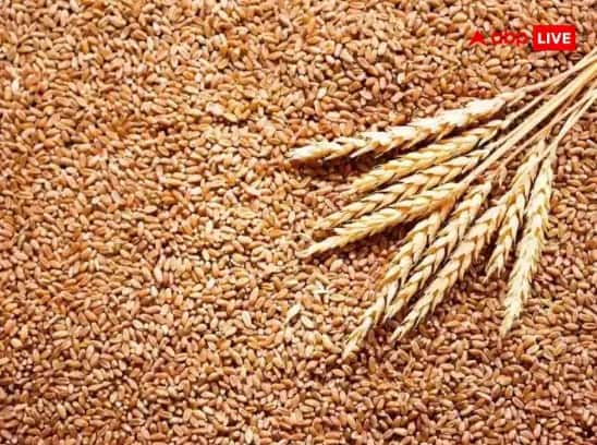 wheat-price-hike-central-state-government-officials-meeting-held-to-ensure-consumers-benefit-from-cooling-down-of-prices-of-wheat Wheat Price Hike: ਕਣਕ-ਆਟੇ ਦੀਆਂ ਵਧਦੀਆਂ ਕੀਮਤਾਂ ਸਬੰਧੀ ਕੇਂਦਰ ਨੇ ਸੂਬਿਆਂ ਨਾਲ ਕੀਤੀ ਬੈਠਕ, ਕਿਹਾ ਸਟਾਕ ਲਿਮਿਟ ਦੇ ਫੈਸਲੇ ਦੀ ਕਰੋ ਪਾਲਣਾ