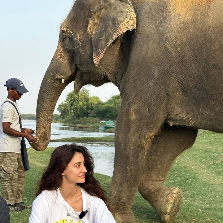 Many celebrities wished Disha Patani on her birthday including her rumoured ex Tiger Shroff.